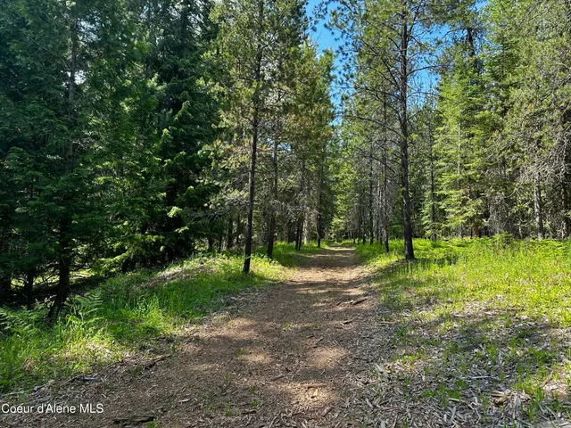 $335,000 | Tbd Tbd Kreiger Creek Road, Careywood, ID 83809