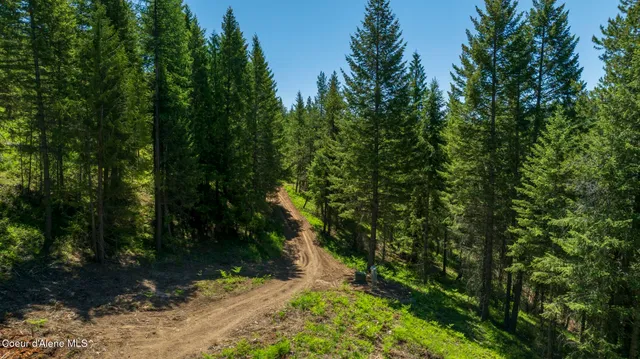 $335,000 | Tbd Tbd Kreiger Creek Road, Careywood, ID 83809