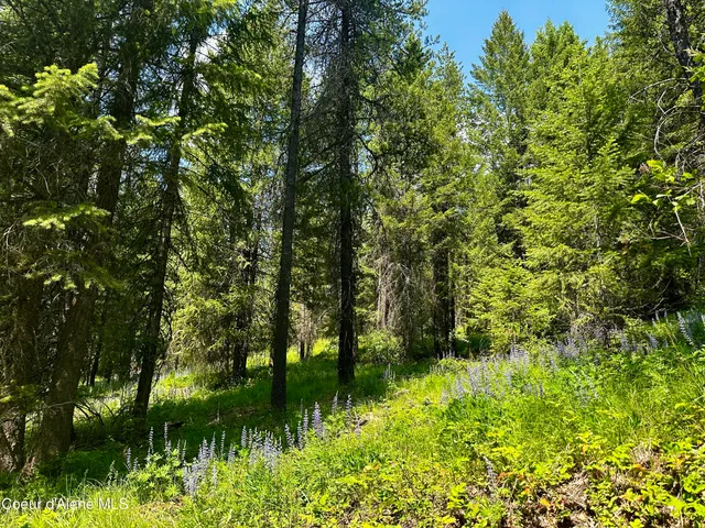 $335,000 | Tbd Tbd Kreiger Creek Road, Careywood, ID 83809