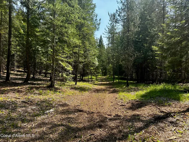 $335,000 | Tbd Tbd Kreiger Creek Road, Careywood, ID 83809