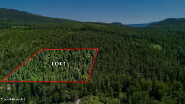 $335,000 | Tbd Tbd Kreiger Creek Road, Careywood, ID 83809
