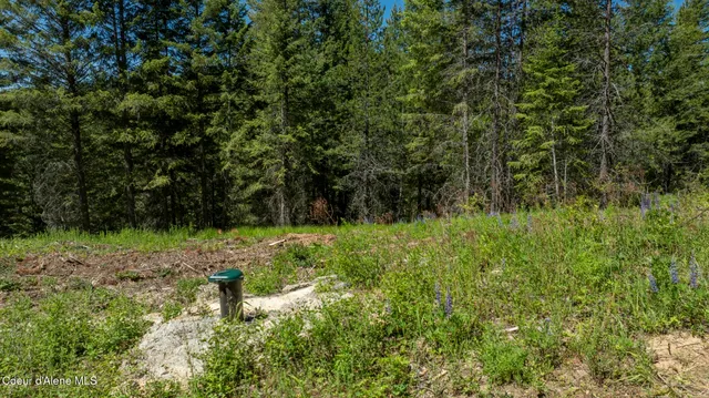 $335,000 | Tbd Tbd Kreiger Creek Road, Careywood, ID 83809
