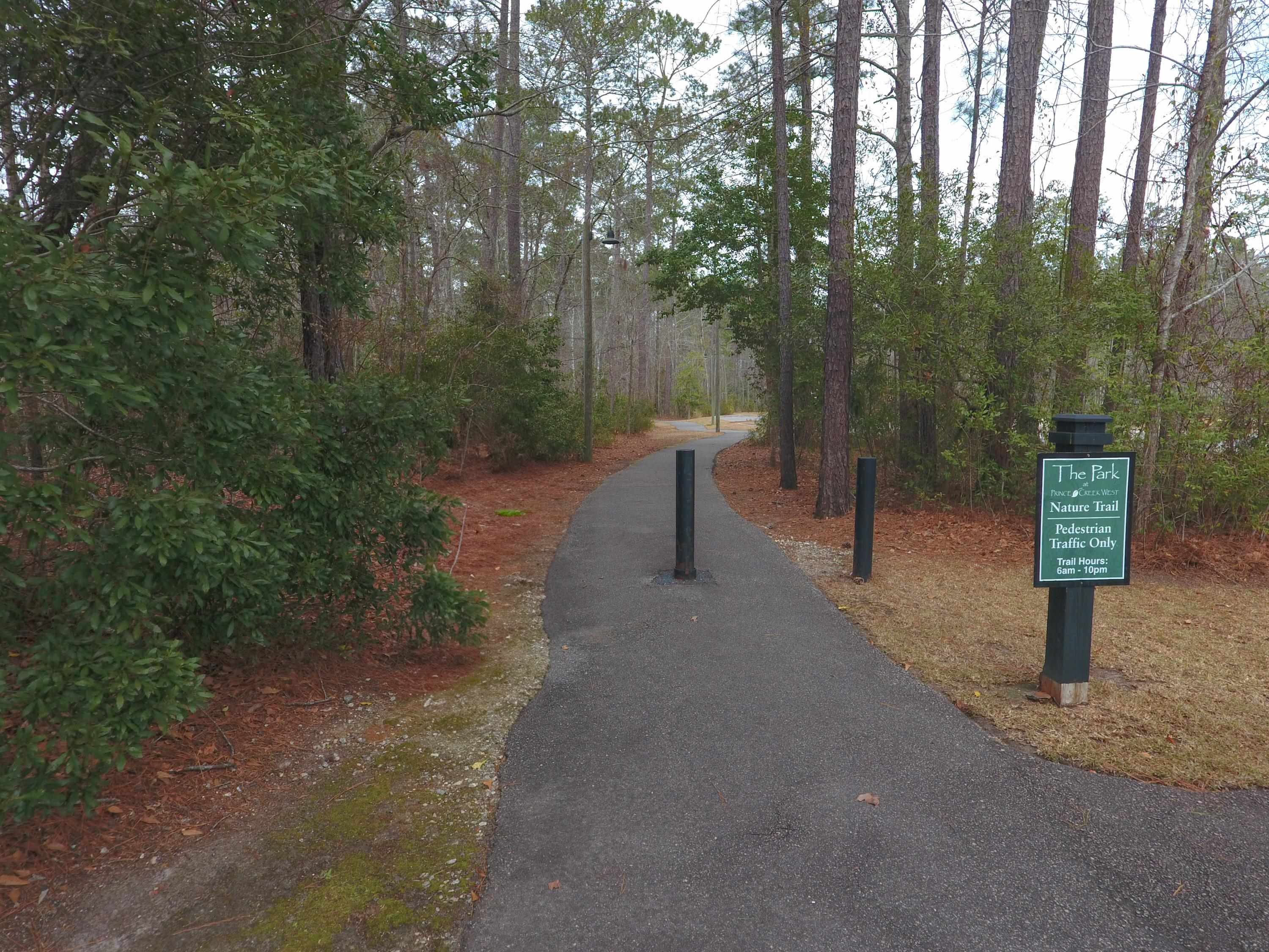 625 Whispering Pines Court Murrells Inlet, SC 29576 - Photo 33 of 35
