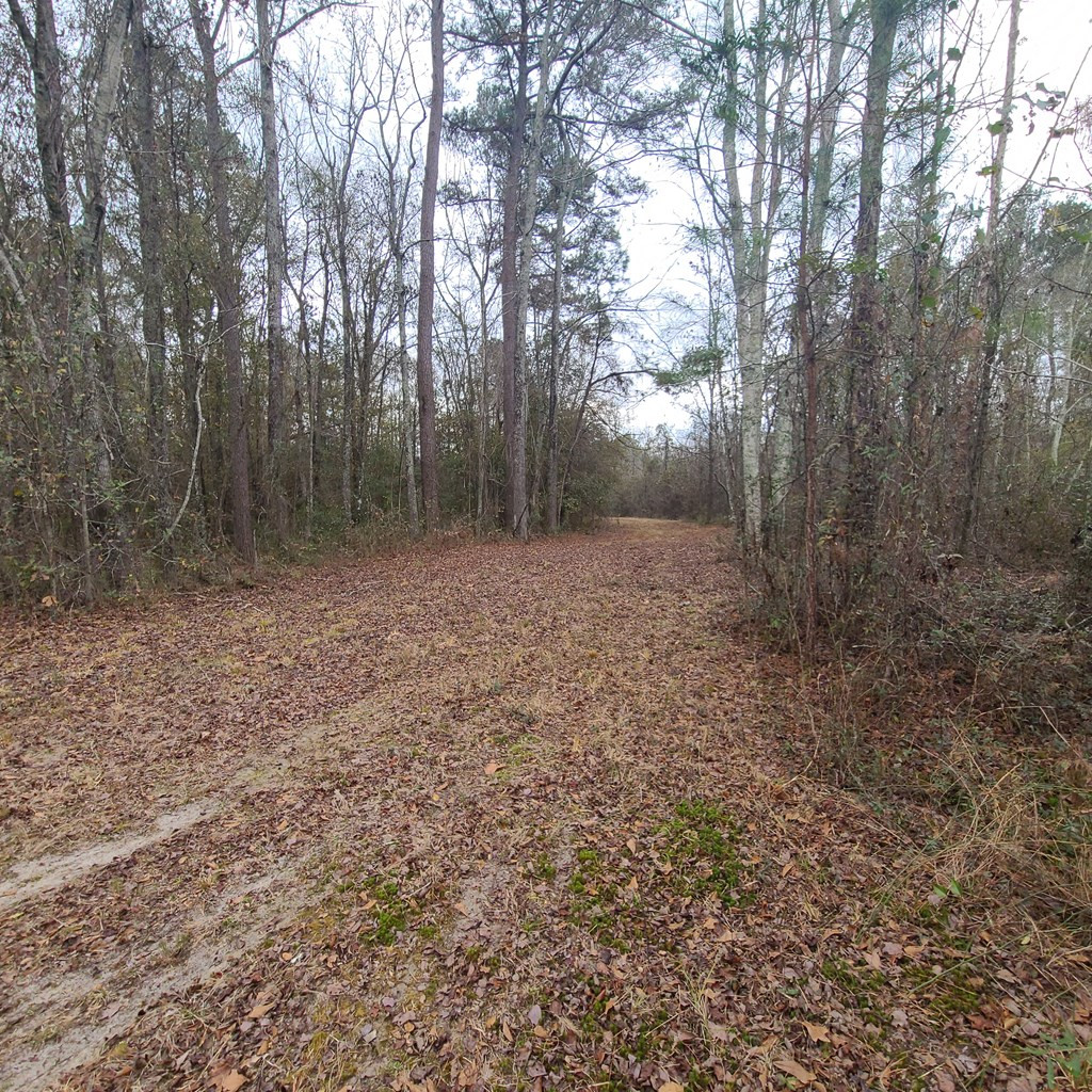 600 Main Street Jackson, SC 29831 - Photo 14 of 28