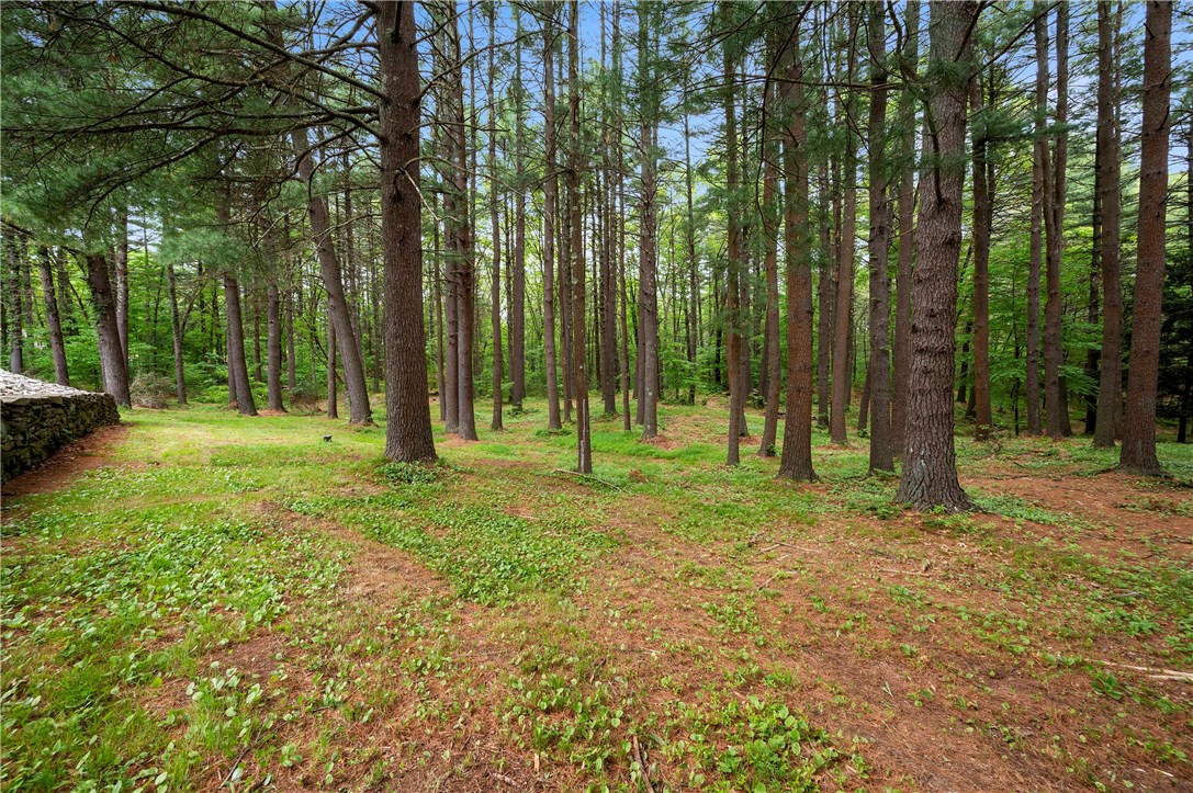 175 Benedict Road Burrillville, RI 02830 - Photo 46 of 50