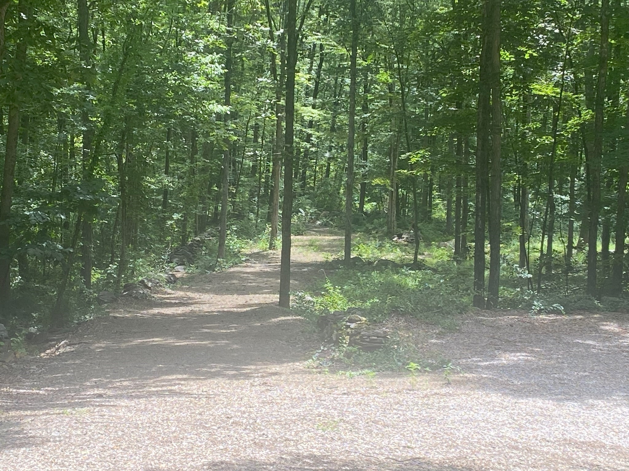 Lot 7 Delargy Road Hardwick, MA 01037 - Photo 2 of 21 Gallery Image 2