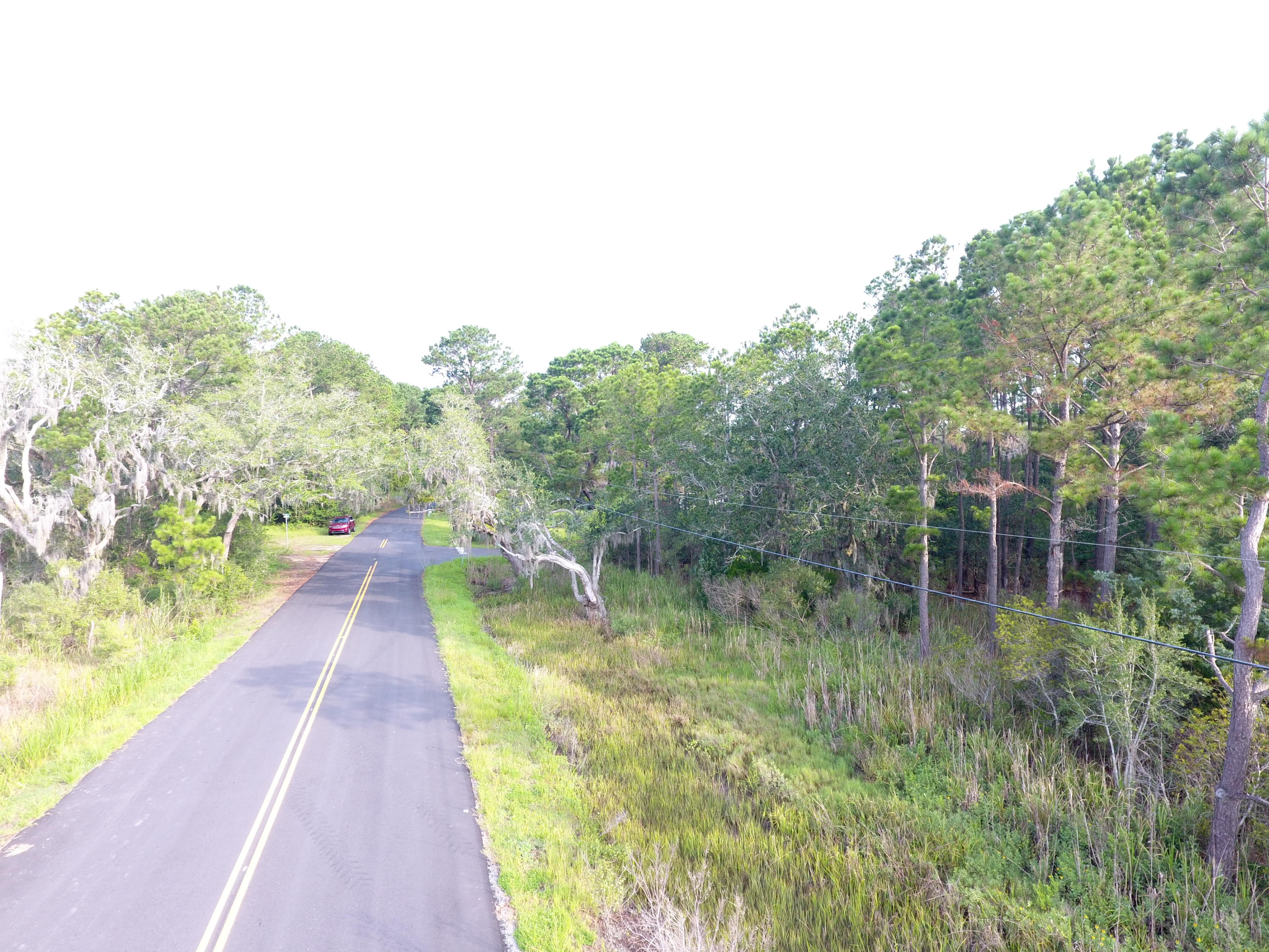 0 Rantowles Court, Unit LOT #20 Ravenel, SC 29470 - Photo 4 of 8 DJI_0123