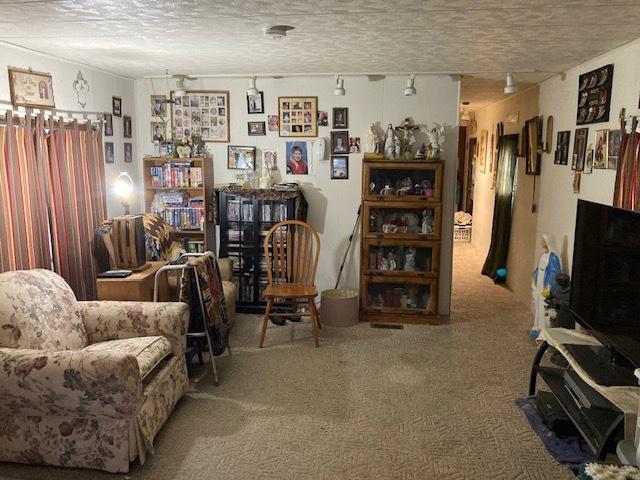 302 Oak Street Braidwood, IL 60408 - Photo 3 of 6