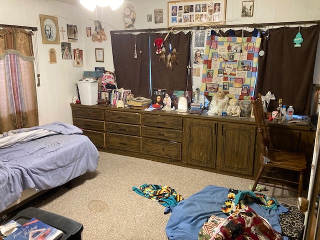 302 Oak Street Braidwood, IL 60408 - Photo 5 of 6