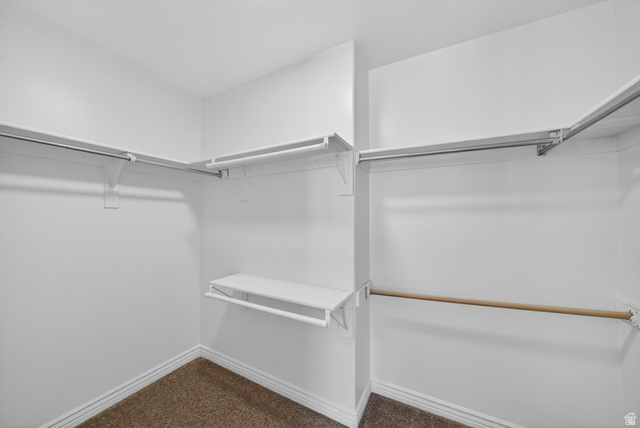 14771 Haddington Road Draper, UT 84020 - Photo 22 of 44 Walk-in closet featuring white walls, white trim, carpeted flooring, and multiple garment rods with shelving
