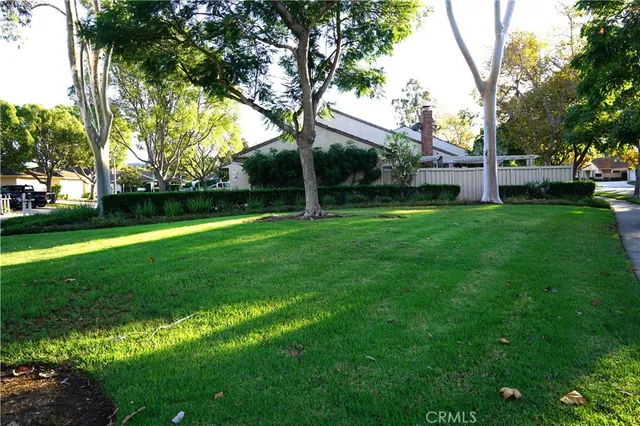a view of a park with large trees
