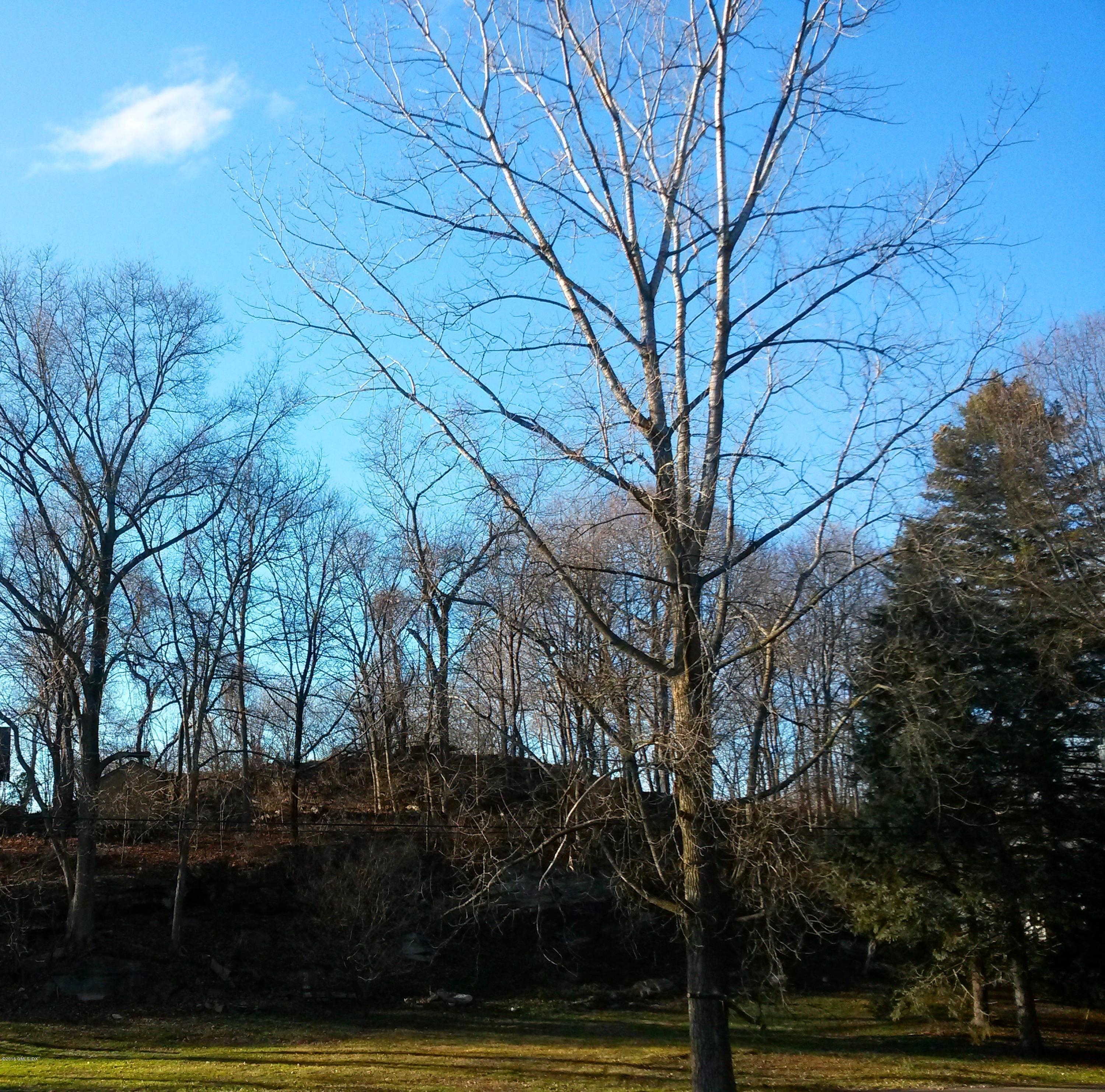 4 Apple Tree Lane Riverside, CT 06878 - Photo 5 of 7 20160103_143120