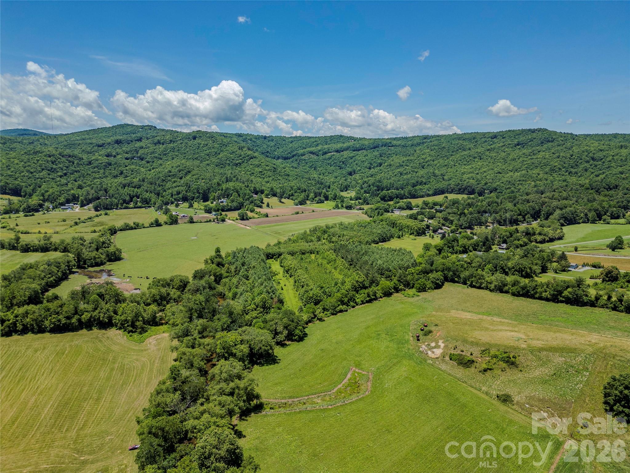 Tbd Canebrake Road Pisgah Forest, NC 28768 - Photo 30 of 43