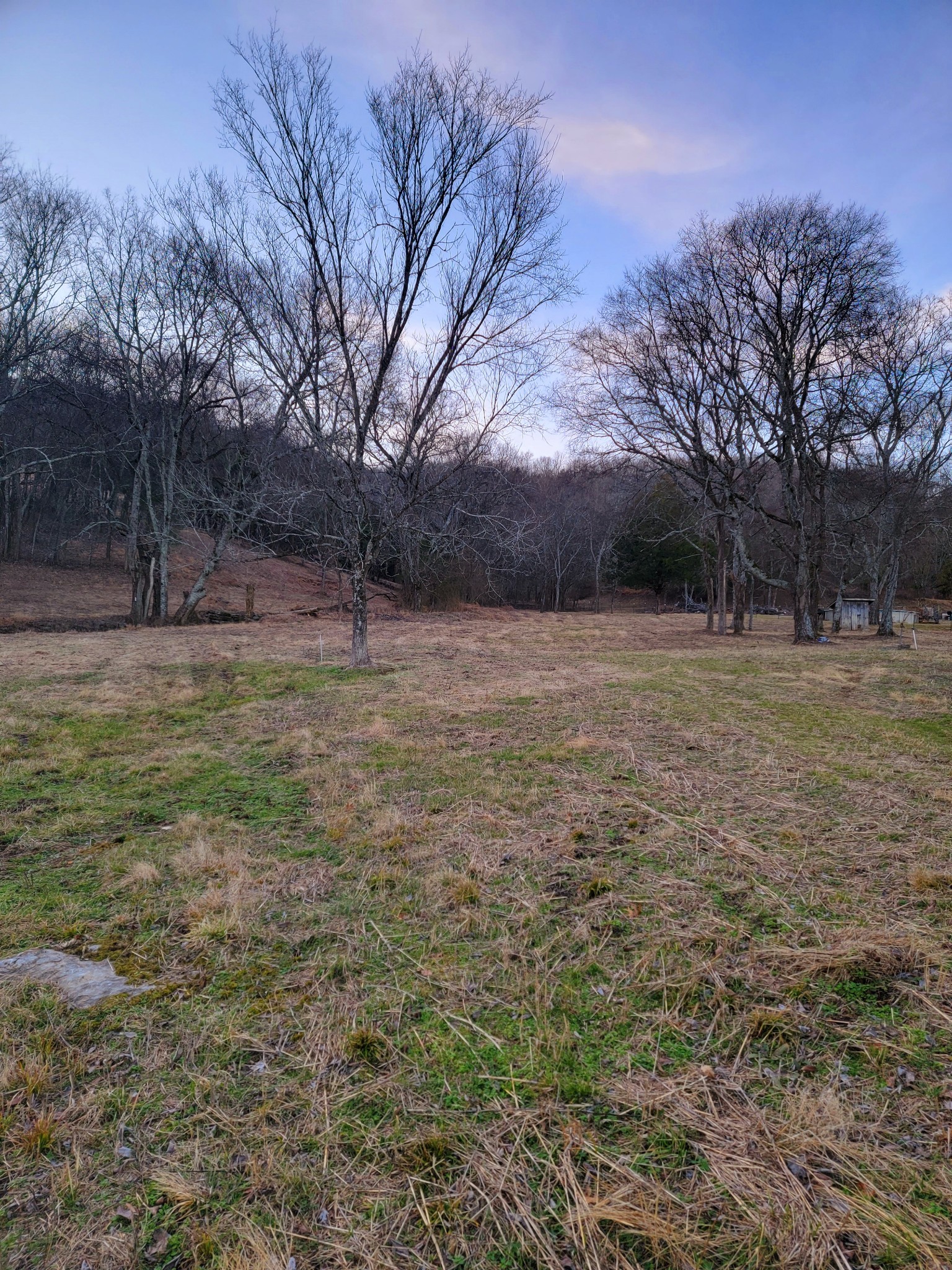 135 Lock 7 Lane Carthage, TN 37030 - Photo 14 of 19 a view of outdoor space with trees all around
