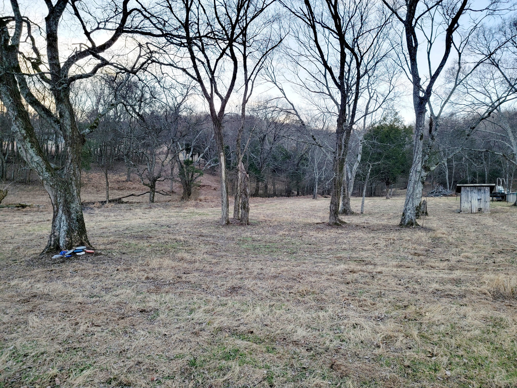 135 Lock 7 Lane Carthage, TN 37030 - Photo 15 of 19 a view of outdoor space with trees