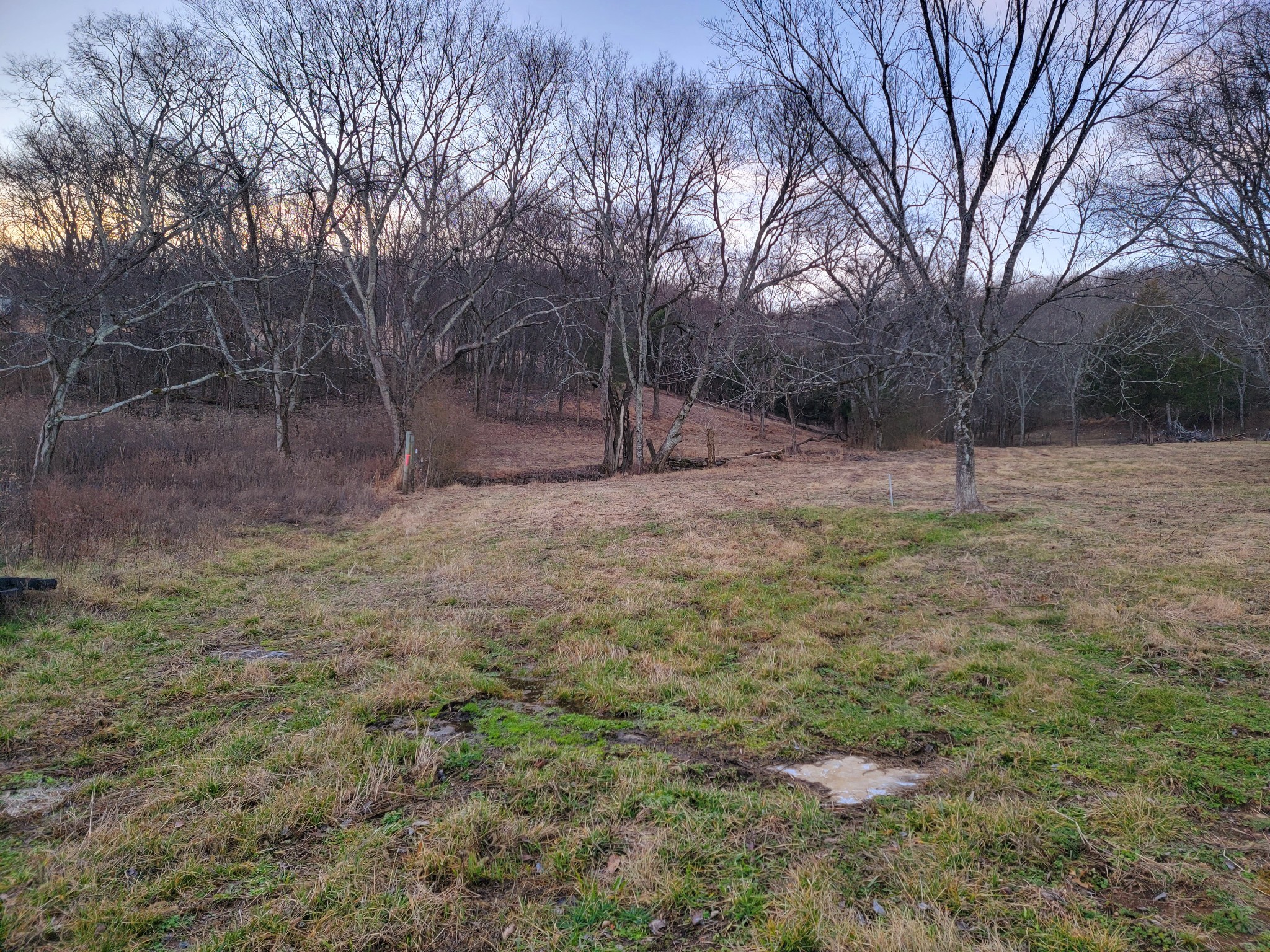 135 Lock 7 Lane Carthage, TN 37030 - Photo 16 of 19 a fire hydrant in the middle of a field