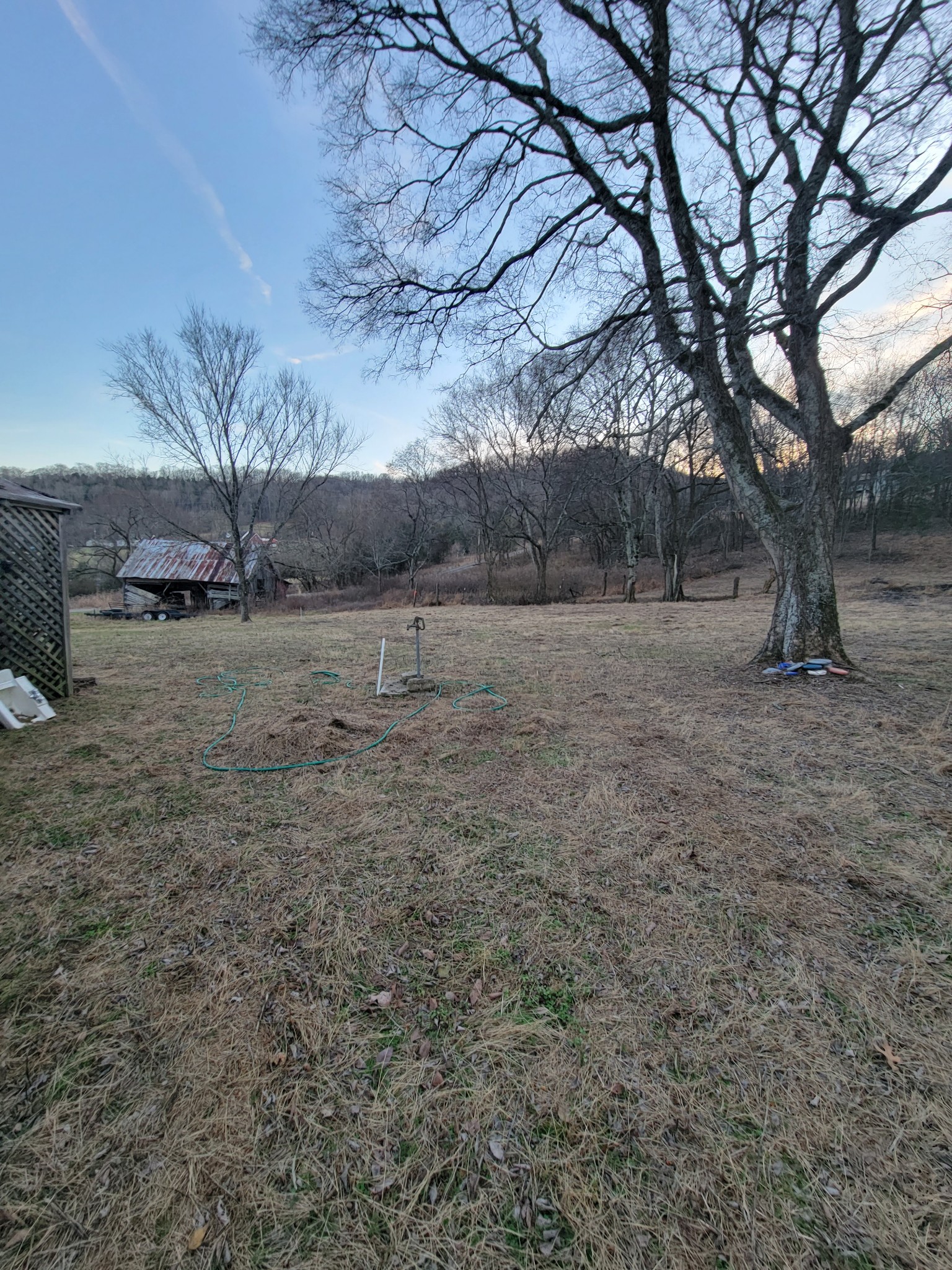 135 Lock 7 Lane Carthage, TN 37030 - Photo 19 of 19 a view of dirt yard with a tree