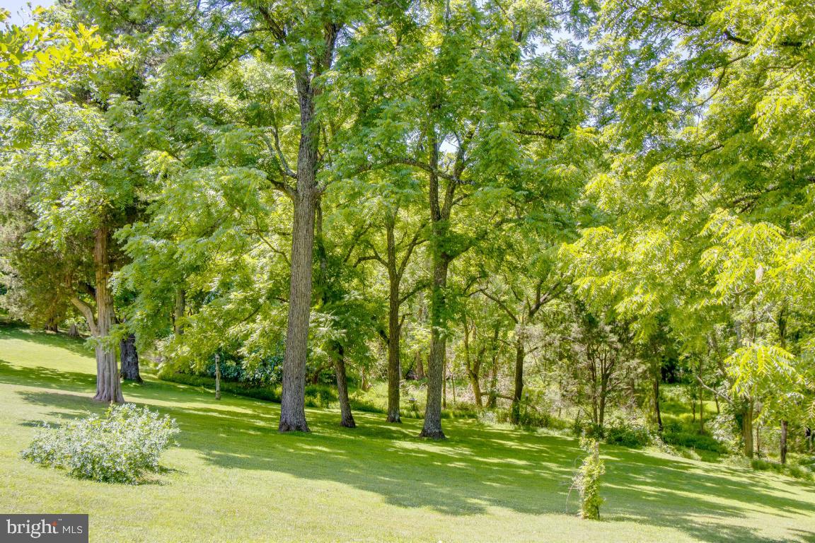 1201 Gold Mine Road Brookeville, MD 20833 - Photo 43 of 61 Wooded privacy