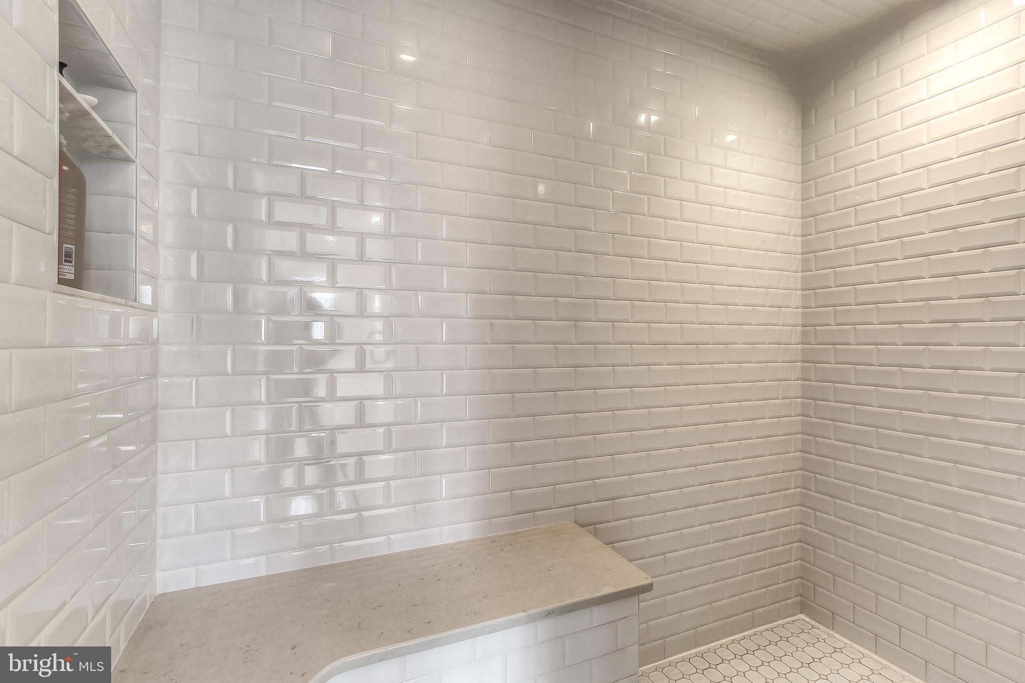 620 Old County Road Severna Park, MD 21146 - Photo 36 of 62 Steam Shower