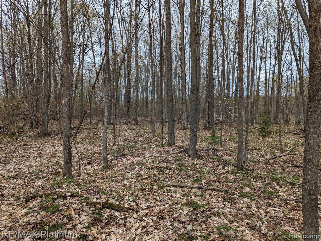 3288 West Babbitt Road Frederic, MI 49733 - Photo 18 of 20