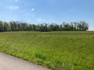 0 Warner Road Kennerdell, PA 16374 - Photo 6 of 13 a view of field with trees in background