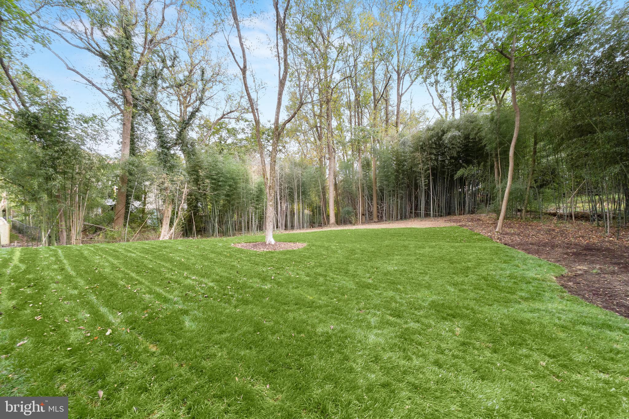 10220 Capitol View Avenue Silver Spring, MD 20910 - Photo 61 of 63 a backyard of a house with lots of green space