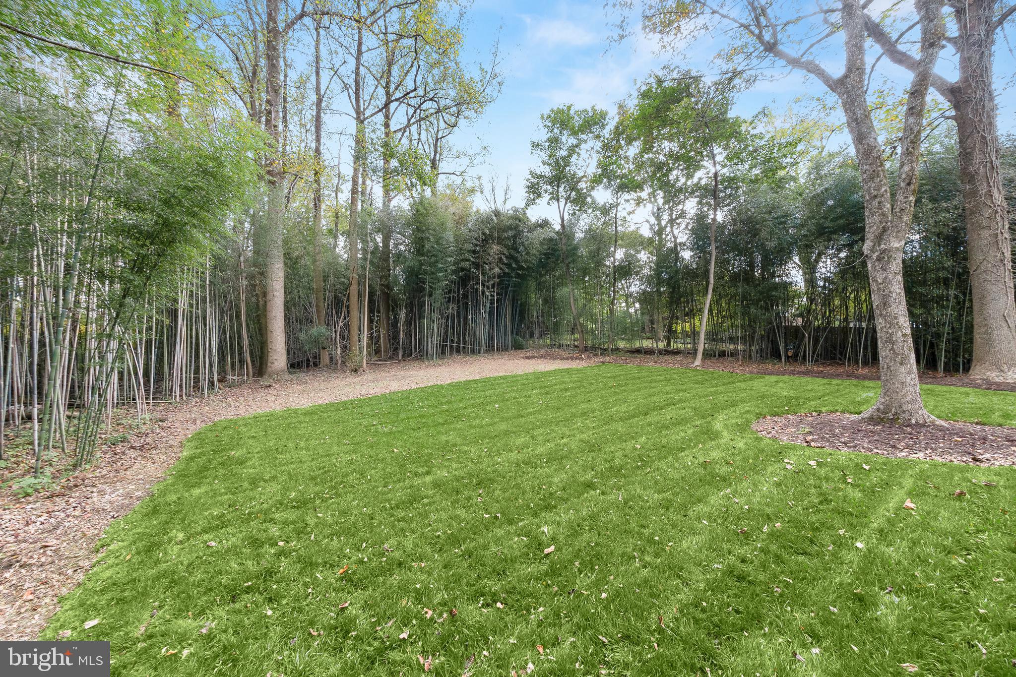 10220 Capitol View Avenue Silver Spring, MD 20910 - Photo 63 of 63 a backyard of a house with lots of green space