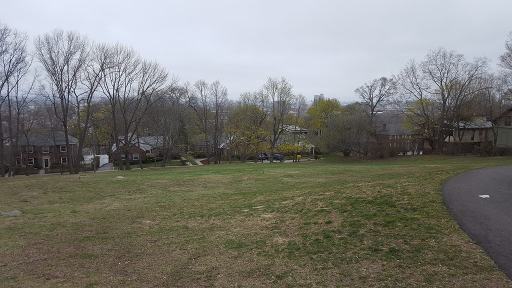 10 Jenness Road Brookline, MA 02446 - Photo 20 of 20 a view of outdoor space with deck and yard