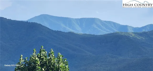 a view of yard with green space