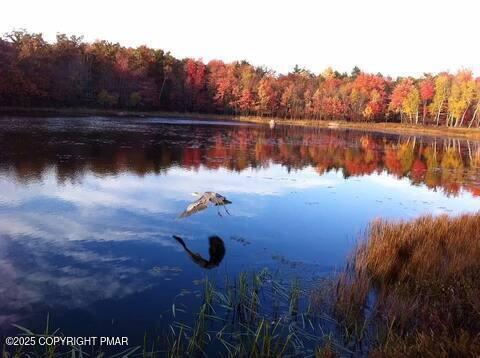 7 Wintergreen Trail Albrightsville, PA 18210 - Photo 17 of 17 4a900219-5788-4640-96aa-8fdfd9222a24
