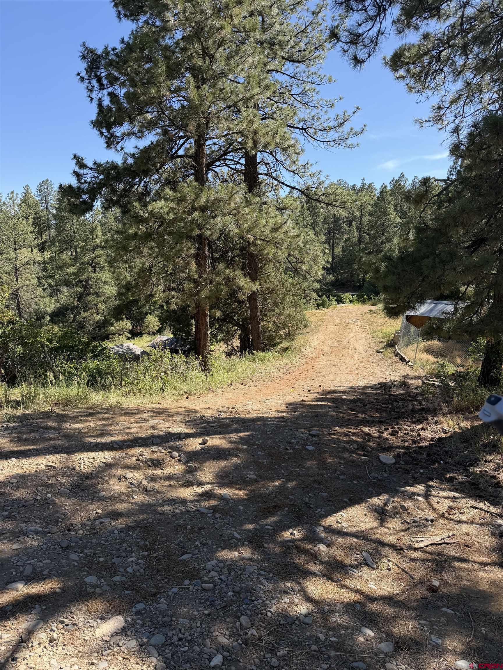 950 Deer Trail Road Durango, CO 81303 - Photo 9 of 13 a view of back yard of the house