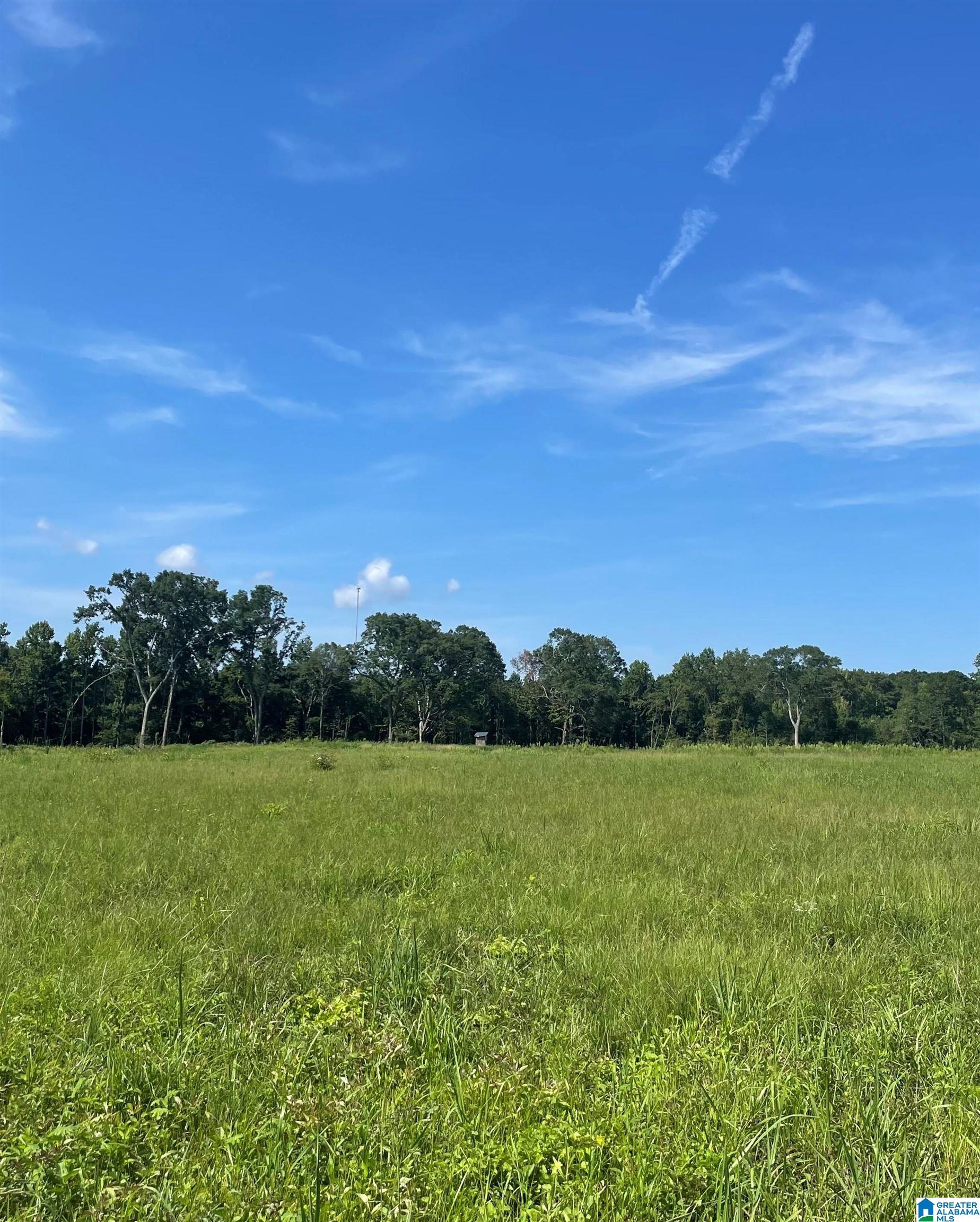 0 County Road 403, Unit 2 Clanton, AL 35045 - Photo 1 of 1