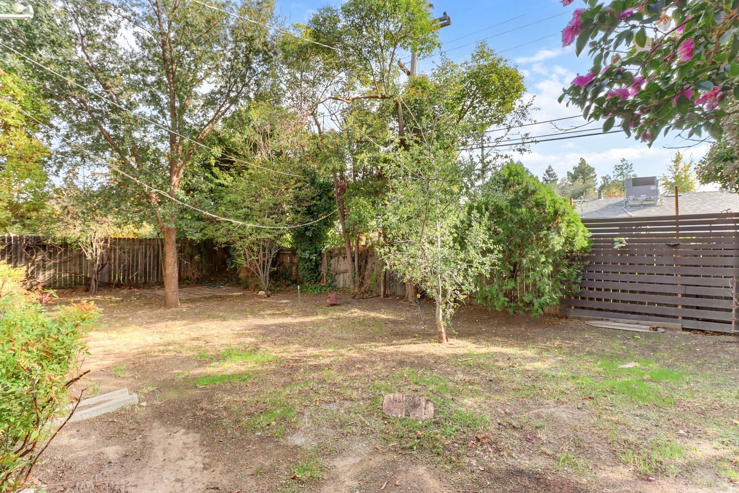 1224 Spruce Lane Davis, CA 95616 - Photo 36 of 49 a view of a yard with plants and trees