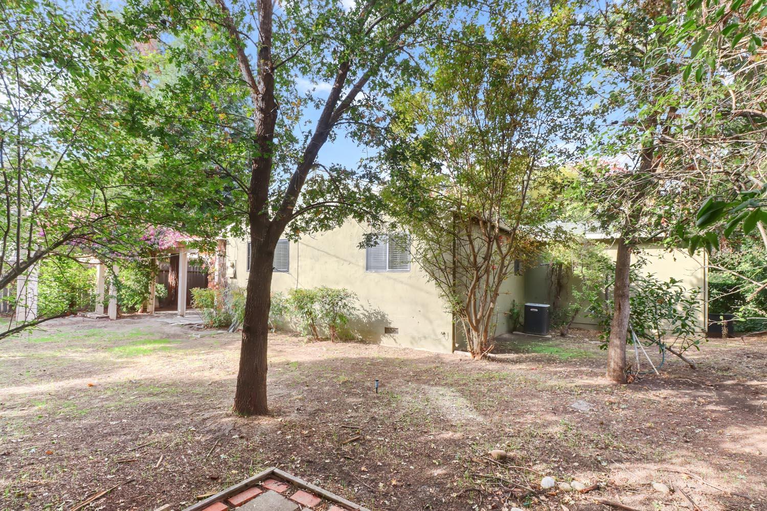 1224 Spruce Lane Davis, CA 95616 - Photo 38 of 49 a view of a tree in the middle of a yard