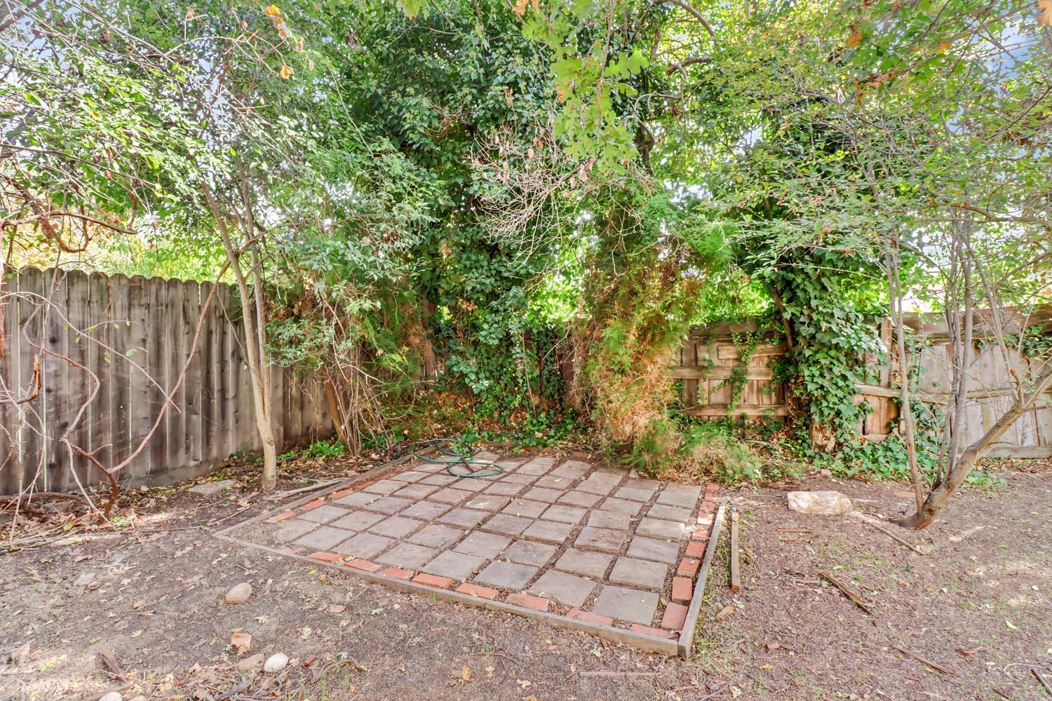 1224 Spruce Lane Davis, CA 95616 - Photo 45 of 49 a view of a yard with plants and trees