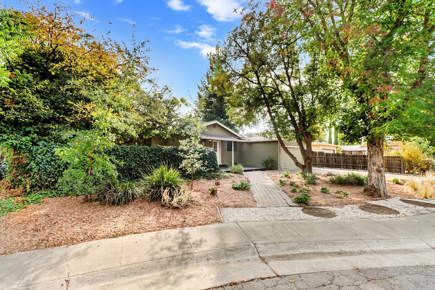 1224 Spruce Lane Davis, CA 95616 - Photo 49 of 49 a row of palm trees in front of a house
