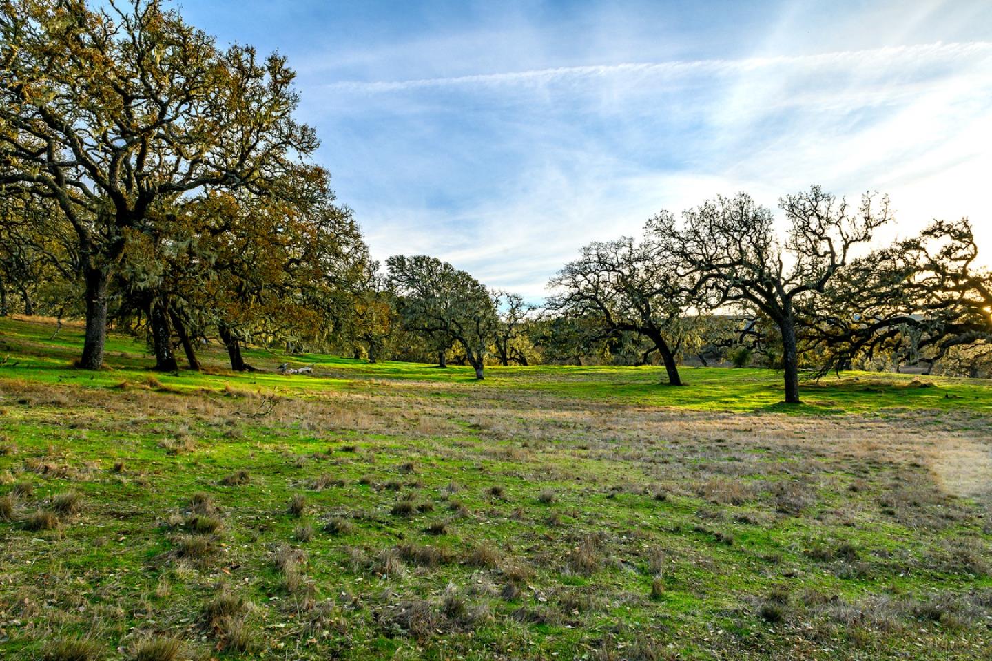 14 Vasquez Trail Carmel, CA 93923 - Photo 4 of 12 a view of a trees in a park