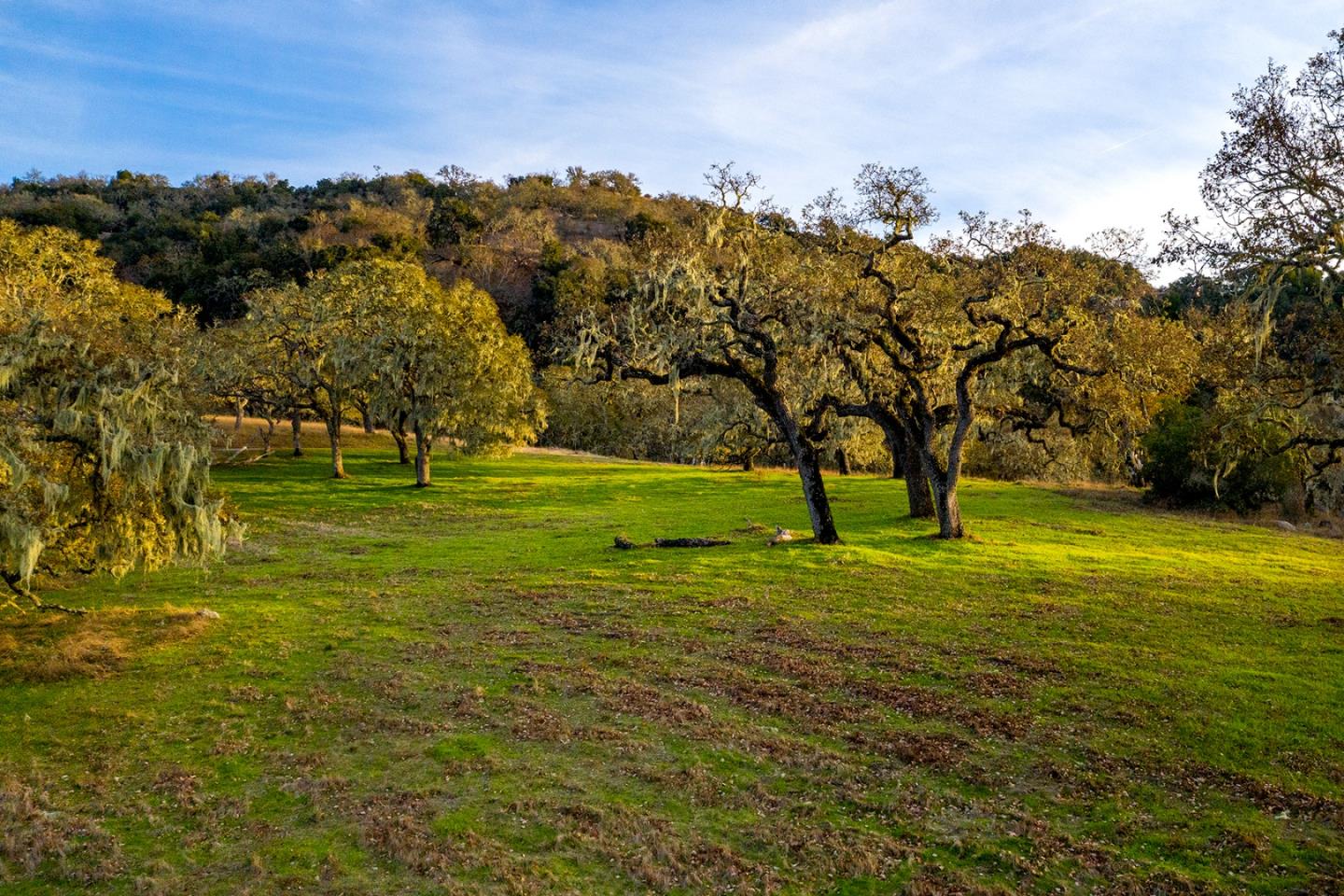 14 Vasquez Trail Carmel, CA 93923 - Photo 5 of 12 a view of field with trees