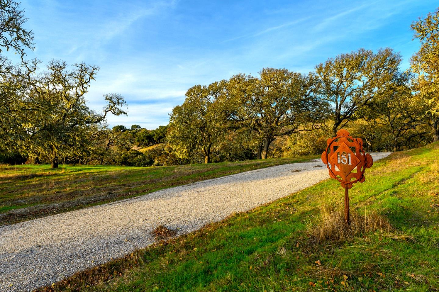 14 Vasquez Trail Carmel, CA 93923 - Photo 8 of 12 a view of a park with large trees
