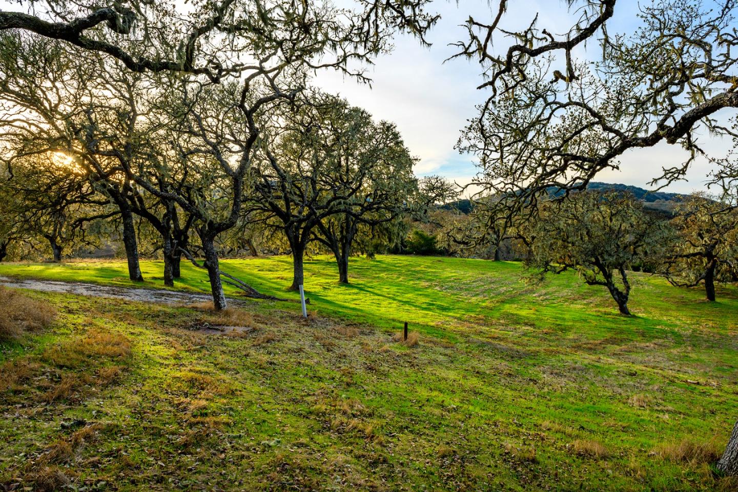 14 Vasquez Trail Carmel, CA 93923 - Photo 10 of 12 a green field with lots of trees