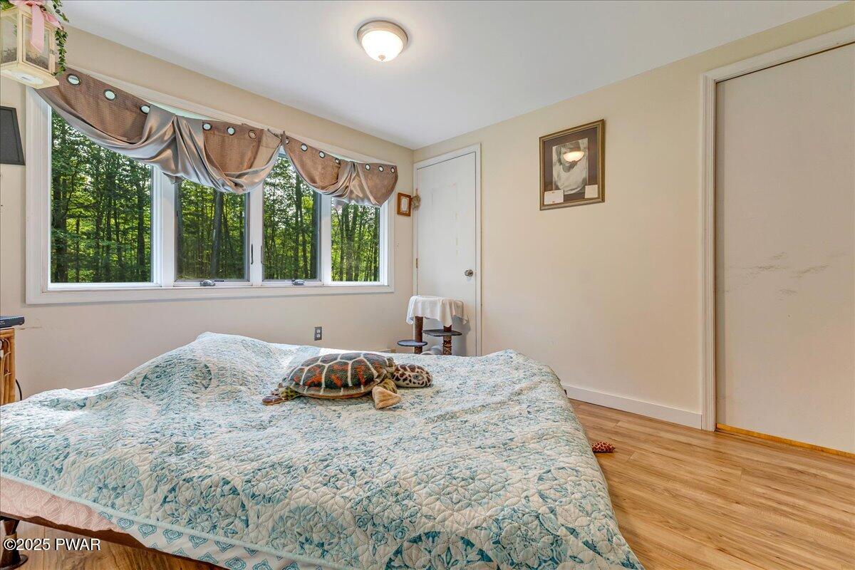 144 Bear Rock Road Lake Ariel, PA 18436 - Photo 29 of 63 Main Bedroom