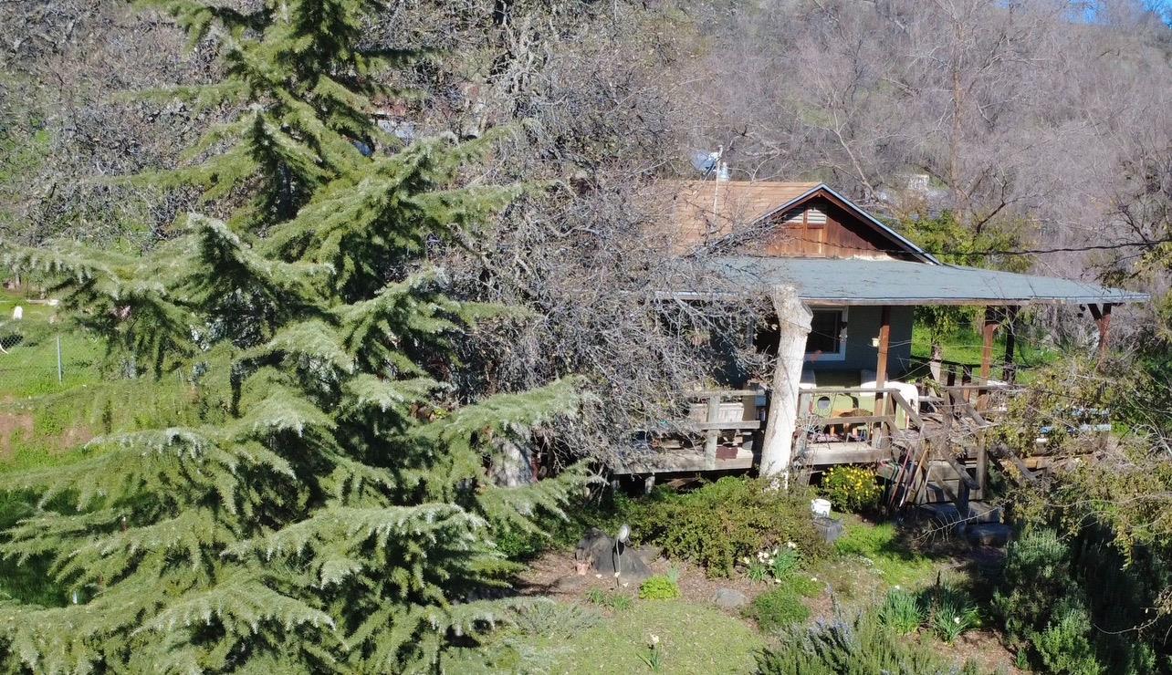 30284 Bear Mountain Road Squaw Valley, CA 93675 - Photo 60 of 62