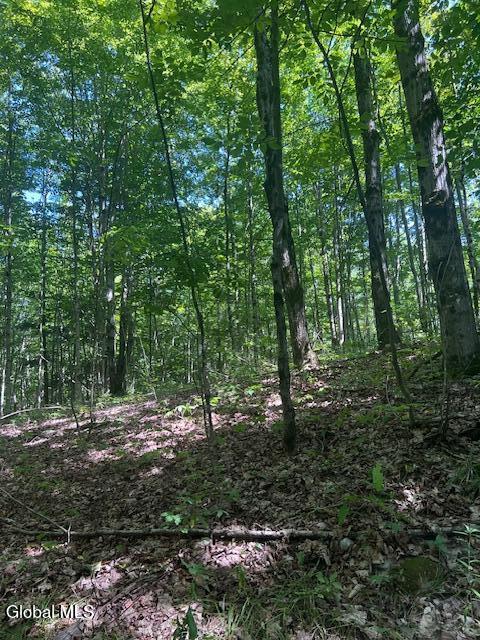 L28 Koster Way Salem, NY 12865 - Photo 2 of 17 IMG_8595