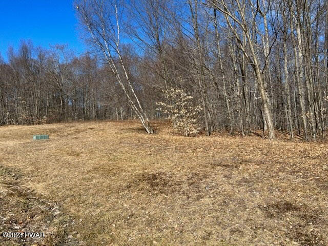 0 Ridgewood Lane Equinunk, PA 18417 - Photo 10 of 22 02 Front of lot