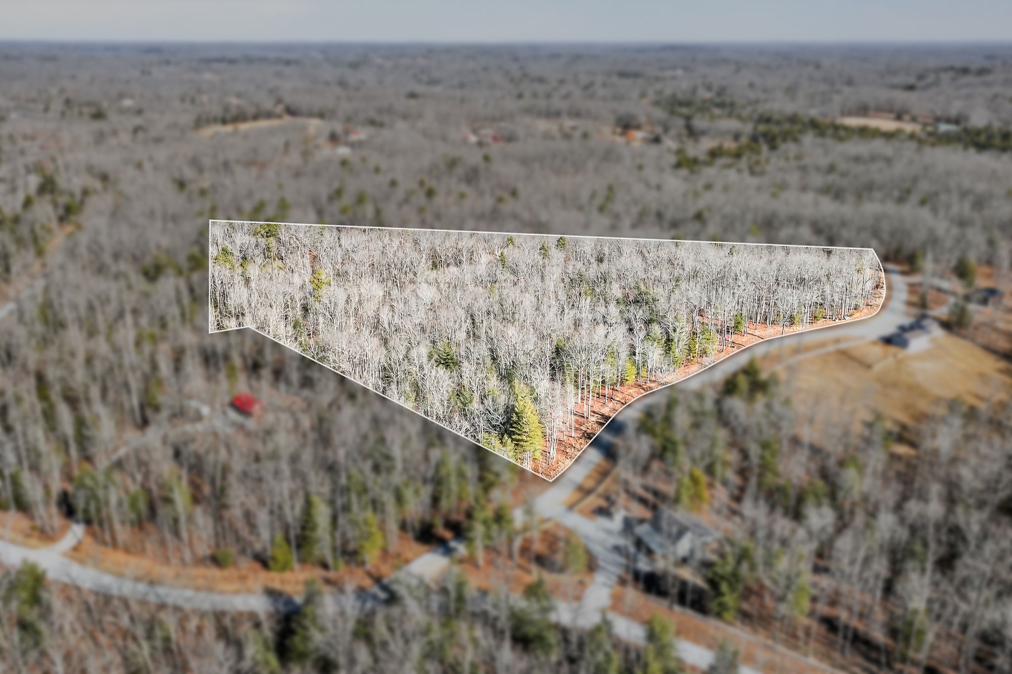 0 Proctor Pl Road Jamestown, TN 38556 - Photo 1 of 16 a view of a dry yard with trees