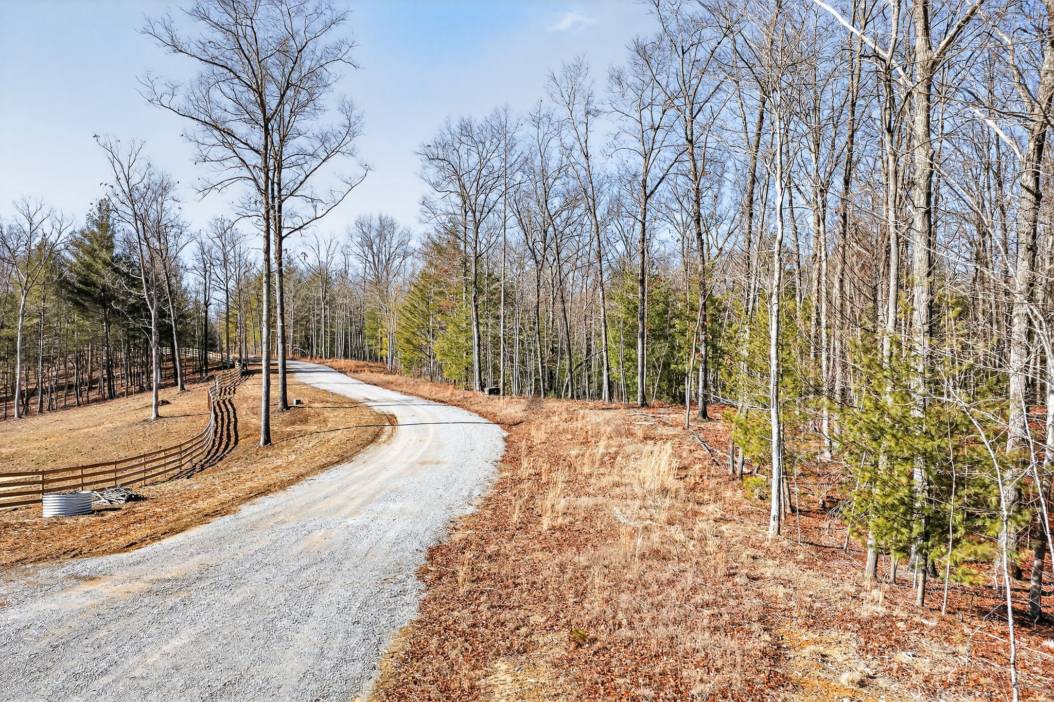 0 Proctor Pl Road Jamestown, TN 38556 - Photo 2 of 16 a view of a yard with trees