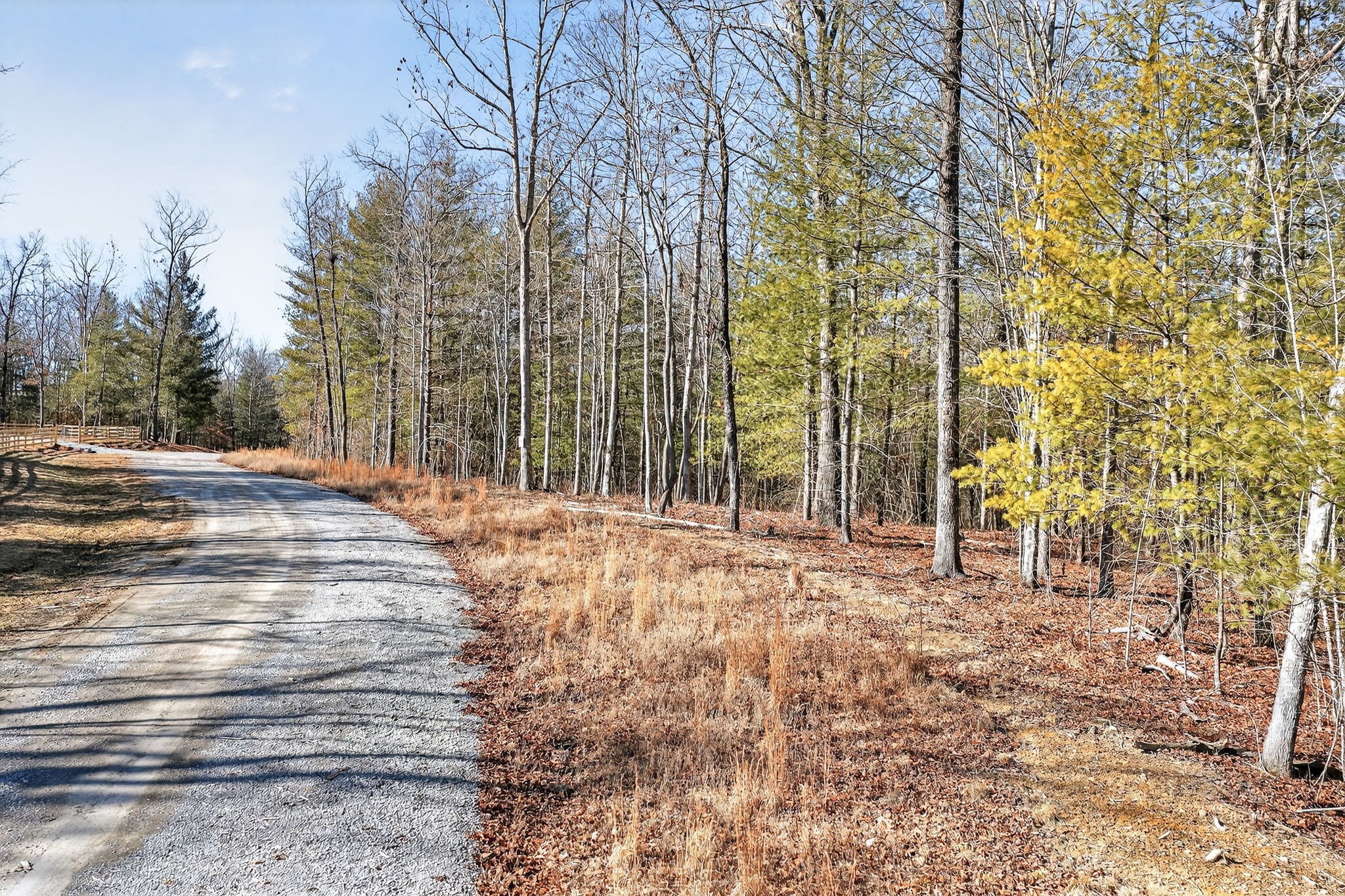 0 Proctor Pl Road Jamestown, TN 38556 - Photo 6 of 16 a view of outdoor space with trees