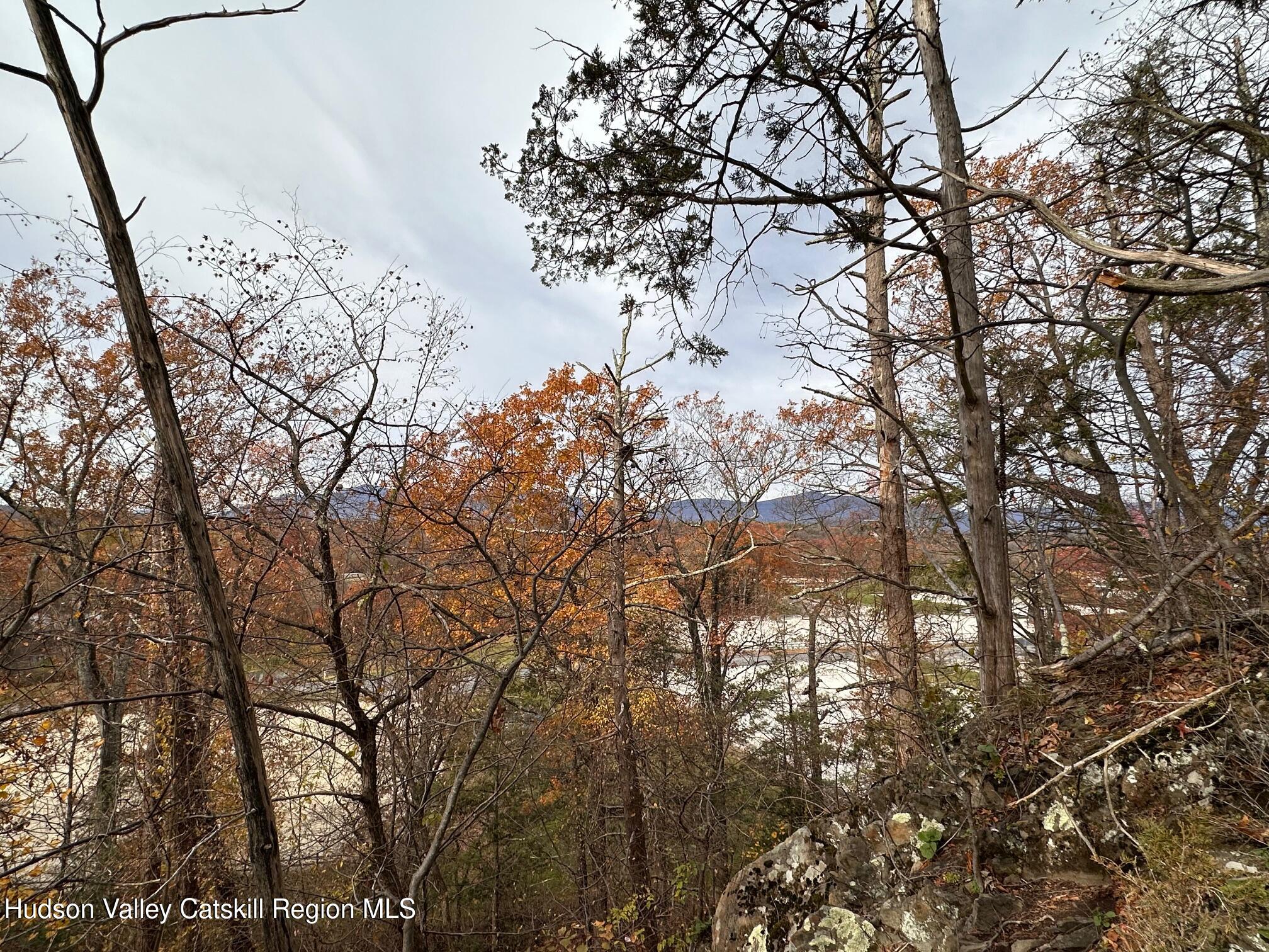 3777 Rte 9W Saugerties, NY 12477 - Photo 20 of 24 view from the top of the ridge