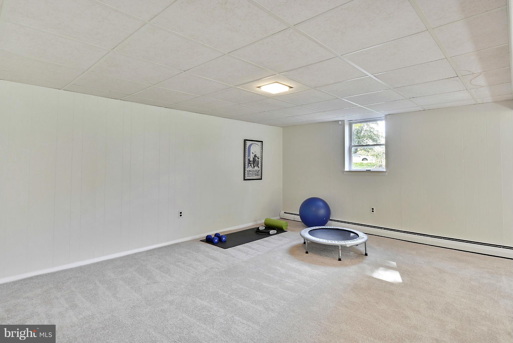 3002 Southview Road Ellicott City, MD 21042 - Photo 16 of 17 Basement