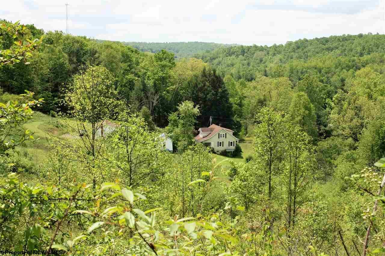 464 Fairview Road Belington, WV 26250 - Photo 6 of 20 Gallery Image 6